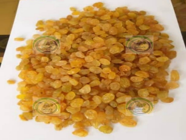 صادرات کشمش انگوری طلایی بناب