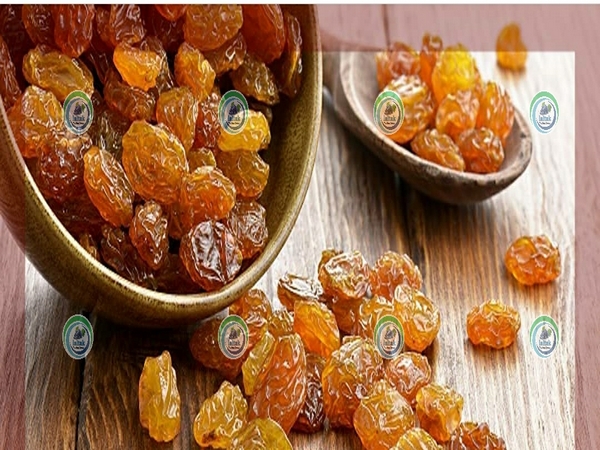 صادرات کشمش تیزابی طلایی به عراق