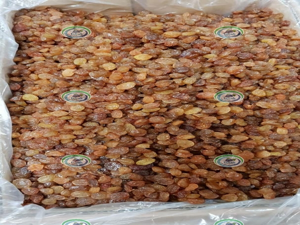 سفارش کشمش تیزابی