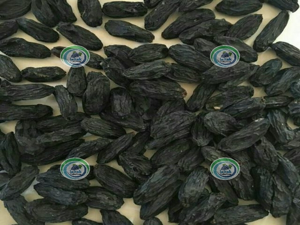 قیمت مویز ازبک بیدانه در بازار