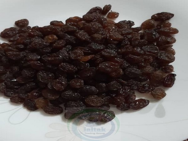 عرضه کشمش آفتابی صادراتی ایران